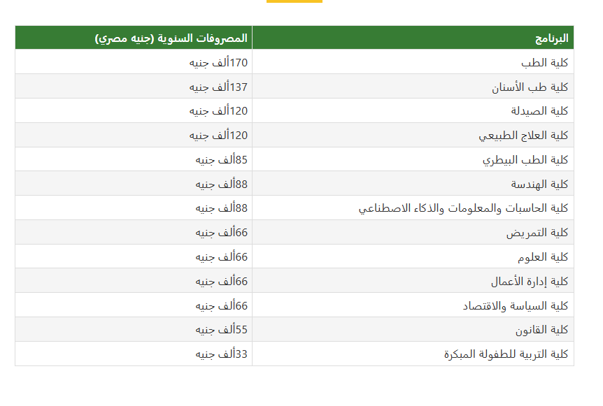 مصاريف جامعة القاهرة الأهلية 2026-2027.. تعرف على 